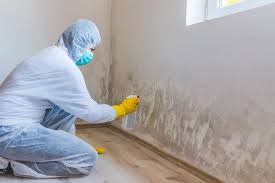 Best Mold Documentation for Insurance Claims  in Manorhaven, NY